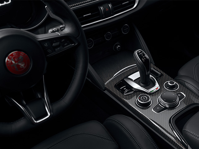 Carbon details on cabin